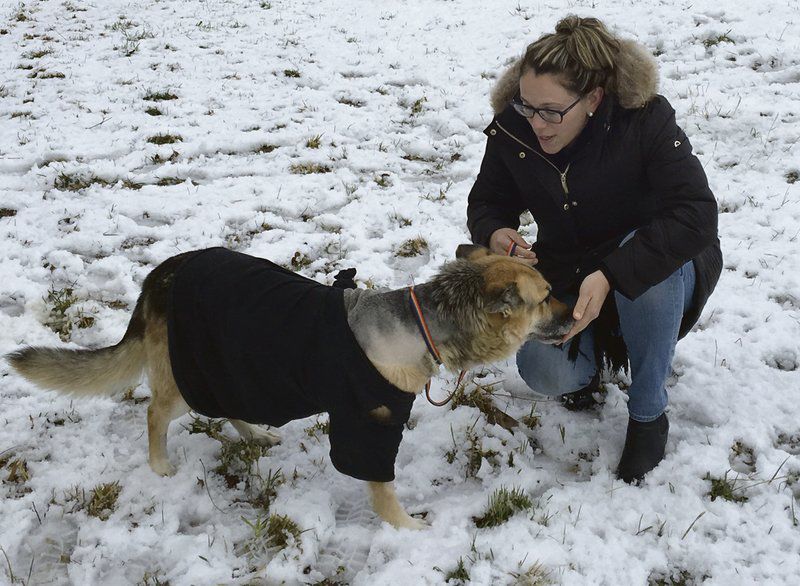 Rescued dog, Zoe, gets a foster home at a farm